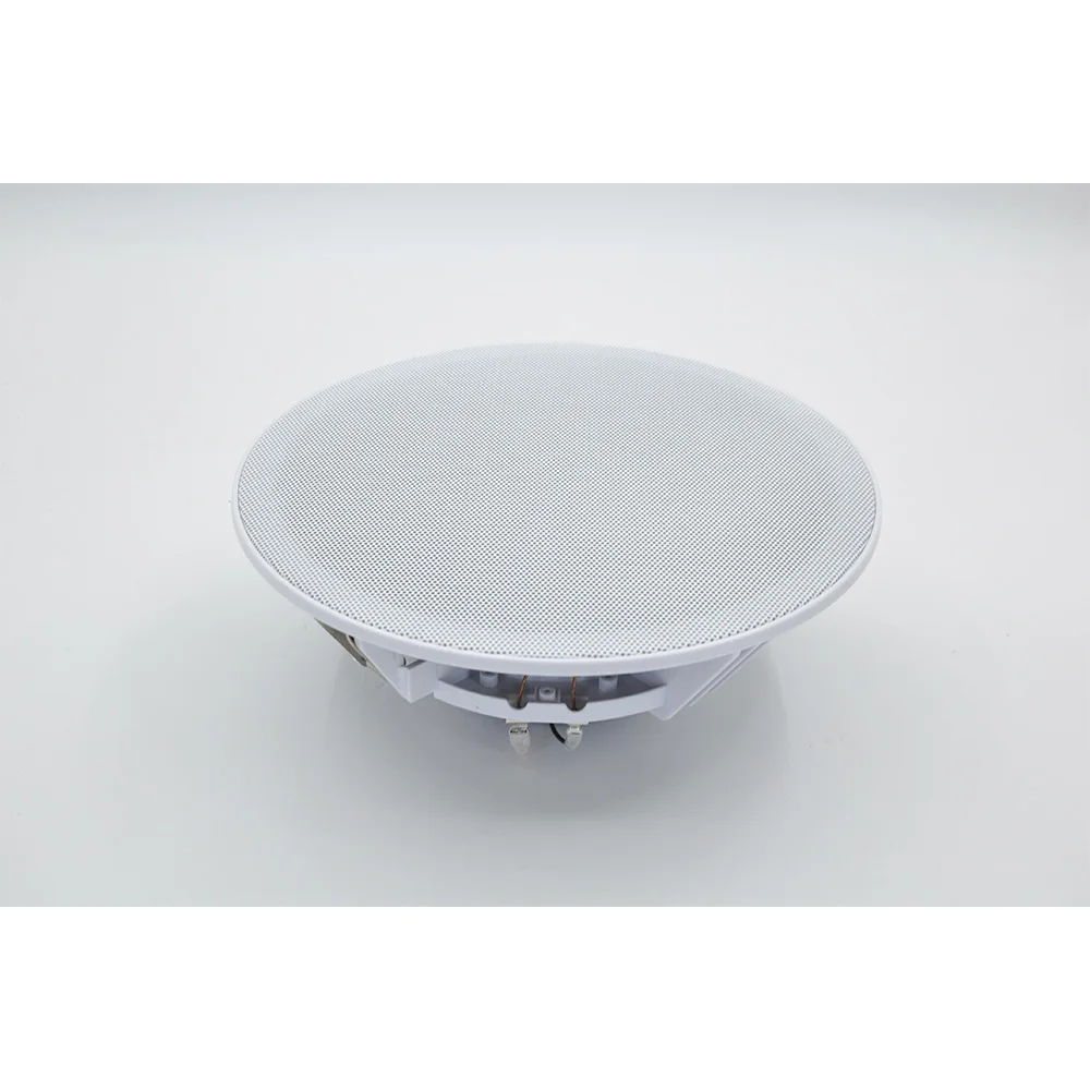 20W Ceiling Speaker Stereo 8 i - Audio Music Background Free reseña y precio