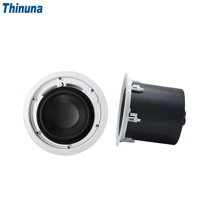 2025 Thinuna MS-10SUB-L II Hom - Audio Music Background Free reseña y precio