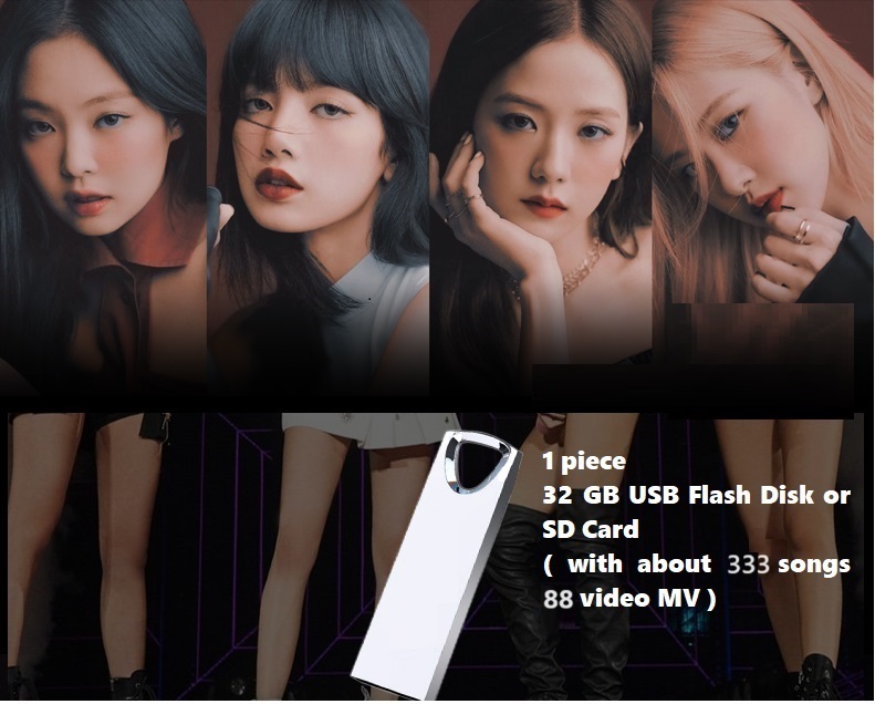 South Korea Female Singer Girl - Audio Music To Video reseña y precio