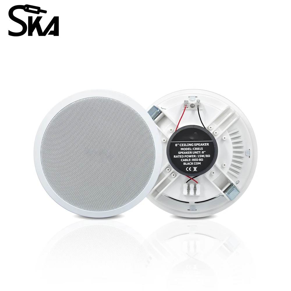 PW4420T+CR815 Smart Home Audio - Audio Music Background Free reseña y precio