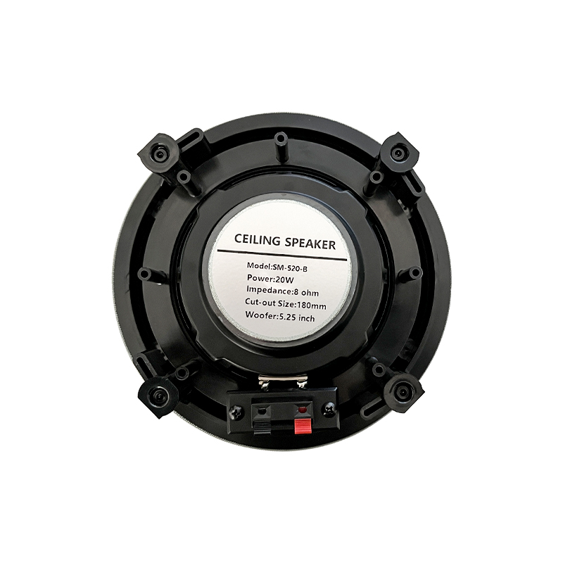 5.25 inch 8 ohm ceiling speake - Audio Music Background Free reseña y precio