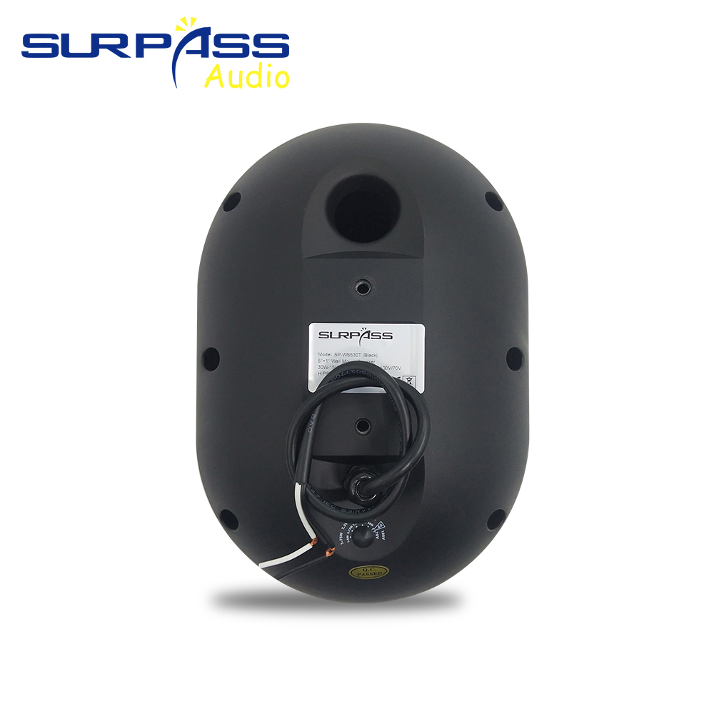 30W Wall-mounted Speaker Water - Audio Music Background Free reseña y precio