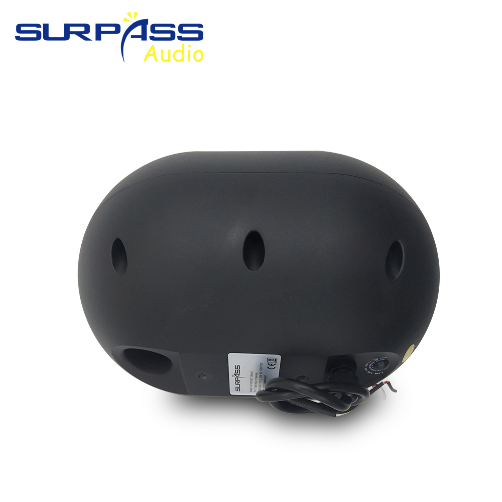30W Wall-mounted Speaker Water - Audio Music Background Free reseña y precio